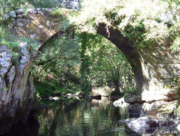 Paradela_ponte da cruz