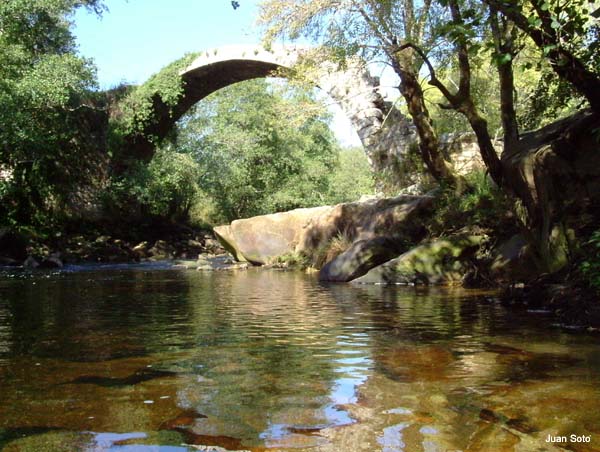 Pazos_ponte avia_2