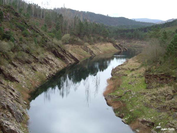 Río Cardelle antes do embalse