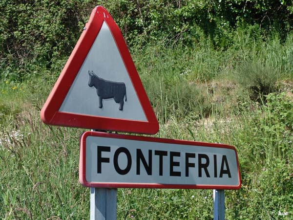 fontefria08