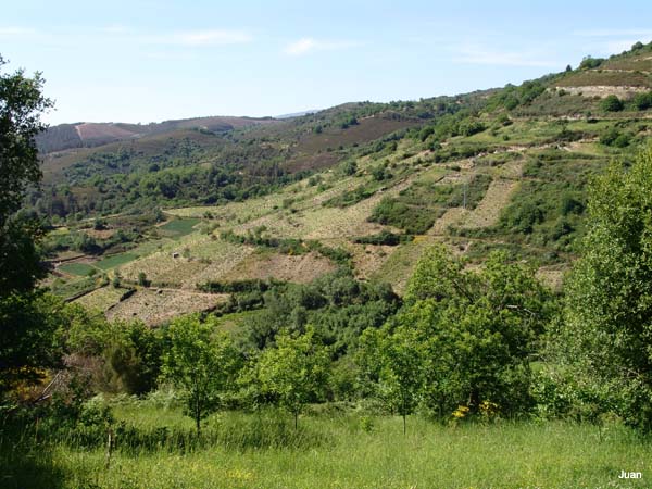 servoi07