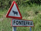 fontefria08