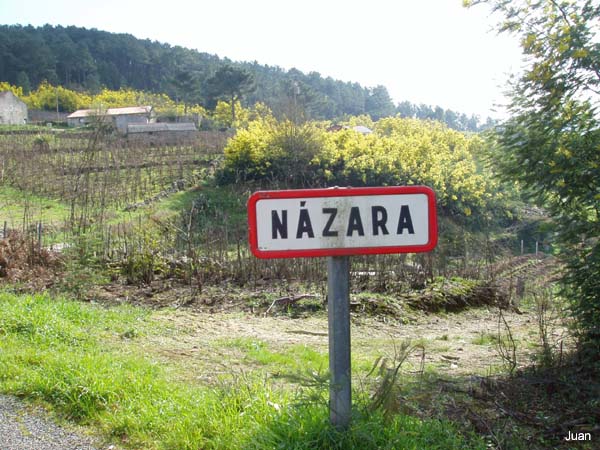 nazara