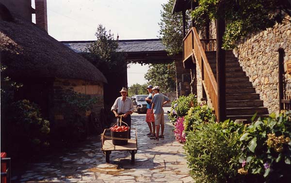 dkCacabelos