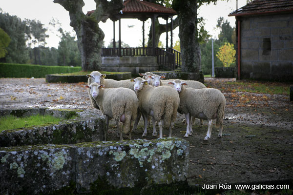 _MG_0499 copia