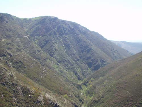 toro al fondo