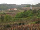 bodega ribeiro leiro