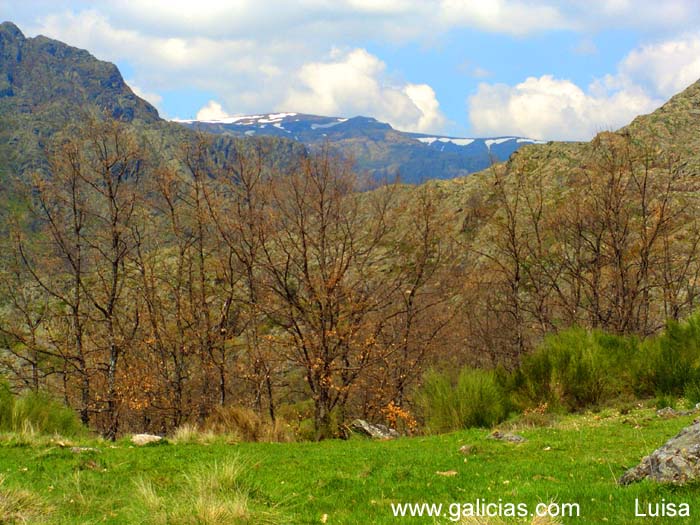 Sanabria095